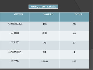 MOSQUITO FAUNA


    GENUS          WORLD      INDIA



ANOPHELES         465        53


  AEDES           888        111



  CULEX           715        57



MANSONIA           23        4



  TOTAL          >2091       225
 