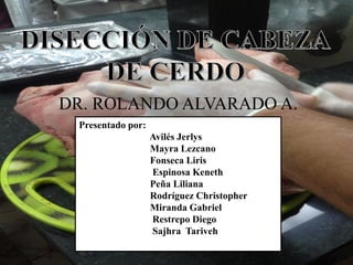 DR. ROLANDO ALVARADO A.
Presentado por:
Avilés Jerlys
Mayra Lezcano
Fonseca Liris
Espinosa Keneth
Peña Liliana
Rodríguez Christopher
Miranda Gabriel
Restrepo Diego
Sajhra Tariveh
 