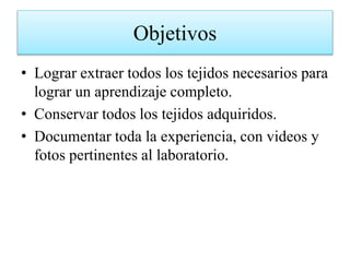 Objetivos
• Lograr extraer todos los tejidos necesarios para
lograr un aprendizaje completo.
• Conservar todos los tejidos adquiridos.
• Documentar toda la experiencia, con videos y
fotos pertinentes al laboratorio.
 