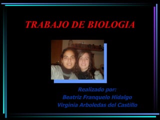 TRABAJO DE BIOLOGIA Realizado por: Beatriz Franquelo Hidalgo Virginia Arboledas del Castillo 
