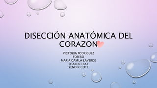 DISECCIÓN ANATÓMICA DEL
CORAZON
VICTORIA RODRIGUEZ
FORERO
MARIA CAMILA LAVERDE
SHARON DIAZ
YENDER COTE
 