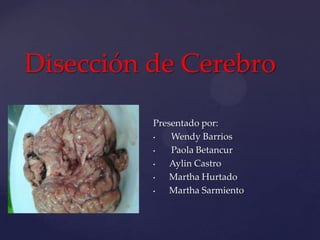 {
Disección de Cerebro
Presentado por:
• Wendy Barrios
• Paola Betancur
• Aylin Castro
• Martha Hurtado
• Martha Sarmiento
 