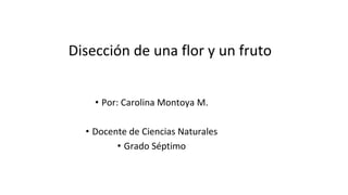 Disección de una flor y un fruto
• Por: Carolina Montoya M.
• Docente de Ciencias Naturales
• Grado Séptimo
 