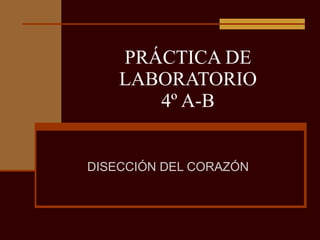 PRÁCTICA DE LABORATORIO 4º A-B DISECCIÓN DEL CORAZÓN 