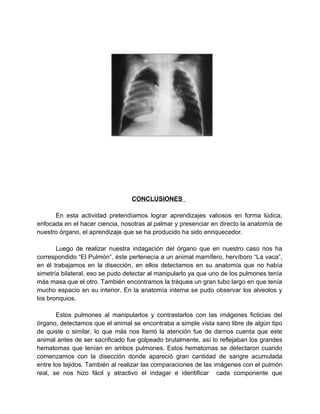 CONCLUSIONES

      En esta actividad pretendíamos lograr aprendizajes valiosos en forma lúdica,
enfocada en el hacer ciencia, nosotras al palmar y presenciar en directo la anatomía de
nuestro órgano, el aprendizaje que se ha producido ha sido enriquecedor.

       Luego de realizar nuestra indagación del órgano que en nuestro caso nos ha
correspondido “El Pulmón”, éste pertenecía a un animal mamífero, hervíboro “La vaca”,
en él trabajamos en la disección, en ellos detectamos en su anatomía que no había
simetría bilateral, eso se pudo detectar al manipularlo ya que uno de los pulmones tenía
más masa que el otro. También encontramos la tráquea un gran tubo largo en que tenía
mucho espacio en su interior. En la anatomía interna se pudo observar los alveolos y
los bronquios.

       Estos pulmones al manipularlos y contrastarlos con las imágenes ficticias del
órgano, detectamos que el animal se encontraba a simple vista sano libre de algún tipo
de quiste o similar, lo que más nos llamó la atención fue de darnos cuenta que este
animal antes de ser sacrificado fue golpeado brutalmente, así lo reflejaban los grandes
hematomas que tenían en ambos pulmones. Estos hematomas se detectaron cuando
comenzamos con la disección donde apareció gran cantidad de sangre acumulada
entre los tejidos. También al realizar las comparaciones de las imágenes con el pulmón
real, se nos hizo fácil y atractivo el indagar e identificar cada componente que
 