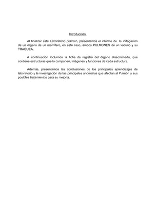Introducción

      Al finalizar este Laboratorio práctico, presentamos el informe de la indagación
de un órgano de un mam...
