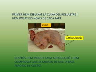 PRIMER HEM DIBUIXAT LA CUIXA DEL POLLASTRE I
HEM POSAT ELS NOMS DE CADA PART.

                    CUIXA




                                    ARTICULACIONS




 DESPRÉS HEM MOGUT CADA ARTICULACIÓ I HEM
 COMPROVAT QUE ES MOVIEN DE DALT A BAIX,
 PERÒ NO DE COSTAT.
 