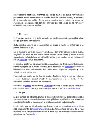 Diseccion De La Rana | PDF