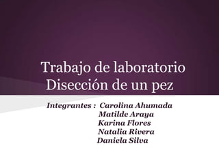 Trabajo de laboratorio
 Disección de un pez
Integrantes : Carolina Ahumada
              Matilde Araya
              Karina Flores
              Natalia Rivera
             Daniela Silva
 