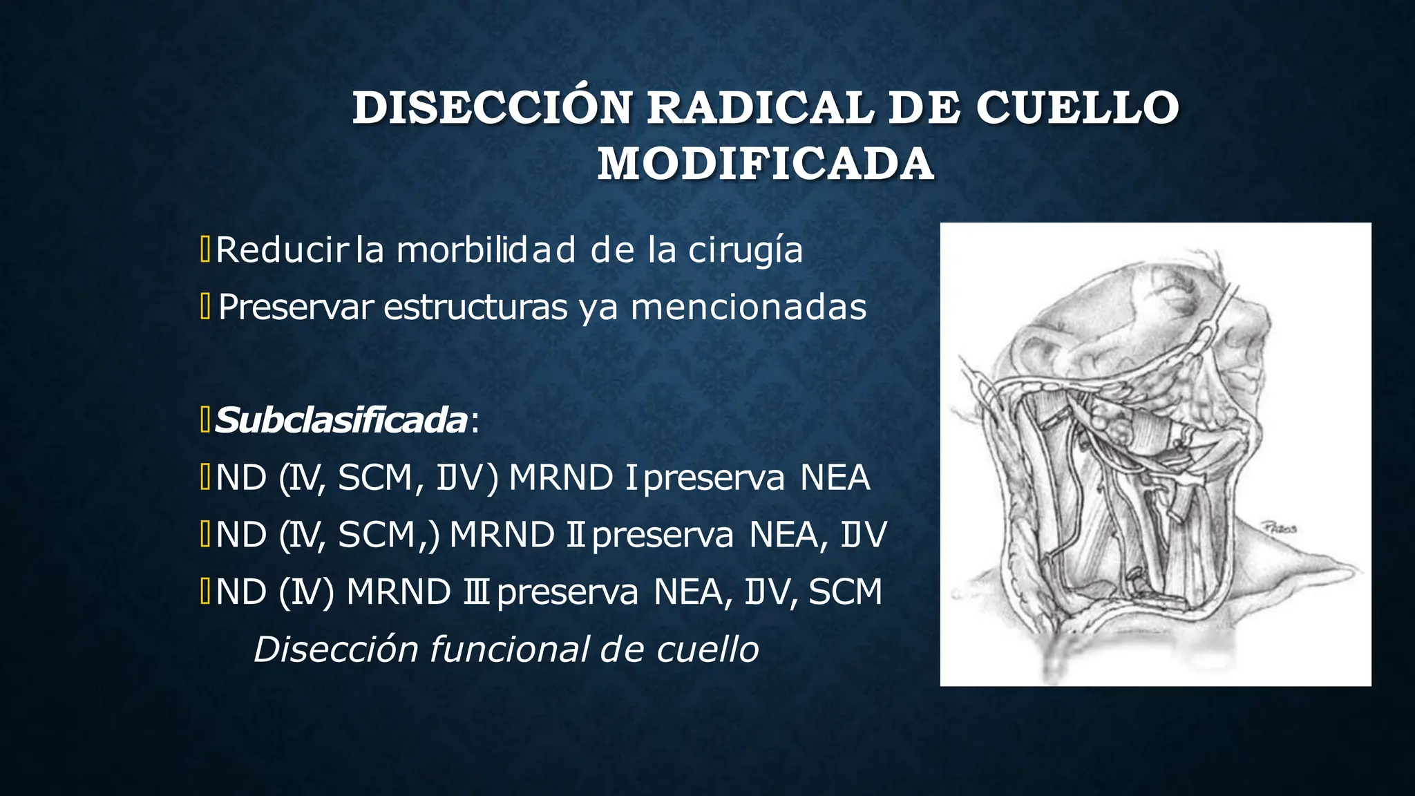 Mcffee Incision Diseccion Radical Cuello Procedimiento quirurgico | PPT