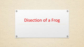 Disection of a Frog
 
