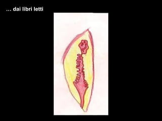 …  dai libri letti 