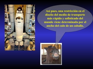 Así pues, una restricción en el diseño del medio de transporte más rápido y sofisticado del mundo viene determinada por el ancho del culo de un caballo. 