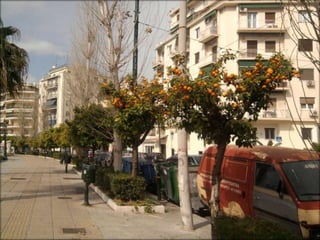 Diseminare EDIPED