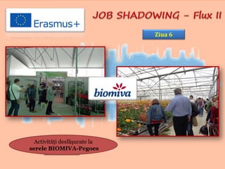 Ziua 6
Activităţi desfăşurate la
serele BIOMIVA-Pegoes
Ziua 6
 