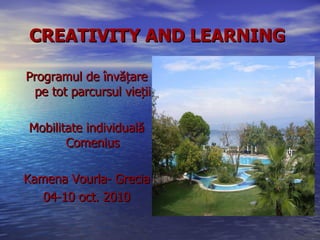 CREATIVITY AND LEARNING   ,[object Object],[object Object],[object Object],[object Object]