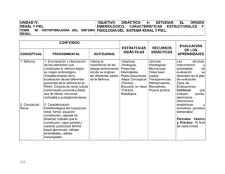 137
UNIDAD IV:
RENAL Y PIEL.
TEMA 50: HISTOFISIOLOGÍA DEL SISTEMA
RENAL.
OBJETIVO DIDÁCTICO 4: ESTUDIAR EL ORIGEN
EMBRIOLÓGICO, CARACTERÍSTICAS ESTRUCTURALES Y
FISIOLOGÍA DEL SISTEMA RENAL Y PIEL.
CONTENIDO
ESTRATEGIAS
DIDÁCTICAS
RECURSOS
DIDÁCTICOS
EVALUACIÓN
DE LOS
APRENDIZAJESCONCEPTUAL PROCEDIMENTAL ACTITUDINAL
1. Nefrona.
2. Corpúsculo
Renal.
1. Enumeración y Descripción
de los elementos que
constituyen la nefrona según
su origen embriológico.
-Establecimiento de la
localización de las diferentes
porciones de la nefrona en el
Riñón: Corpúsculo renal, tubulo
contorneado proximal y distal,
asa de Henle, neuronas
corticales y yuxtaglomerulares.
2. Caracterización
Histofisiológica del corpúsculo
renal: forma, situación
constitución, cápsula de
Bowman (células que lo
constituyen, capa parietal y
visceral, podocitos) lámina
basal glomerular, células
endoteliales, células
mesangiales.
Valorar la
importancia de las
etapas embrionarias
donde se originan
las diferentes partes
de la Nefrona.
-Objetivos
-Analogías,
Preguntas
Intercaladas,
Pistas Discursivas
-Mapa Conceptual
-Técnica:
Discusión en clase
Práctica
Histológica.
Láminas
Histológicas
Microscopio
Video been
Laptop
Transparencias,
Retroproyector,
Marcadores,
Pizarra acrílica
Las técnicas,
instrumentos y
actividades de
evaluación se
describen en el plan
de evaluación.
Tipos de
Evaluaciones:
Continua: que
incluyen quices,
seminarios,
disecciones
anatómicas y
sumativas (pruebas
semanales)
Parciales Teórico
y Práctico: Al final
de cada unidad
 