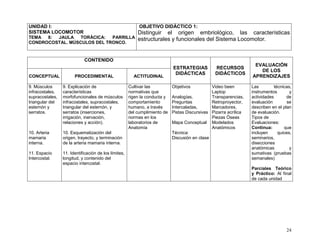 24
UNIDAD I:
SISTEMA LOCOMOTOR
TEMA 8: JAULA TORÁCICA: PARRILLA
CONDROCOSTAL. MÚSCULOS DEL TRONCO.
OBJETIVO DIDÁCTICO 1:
Distinguir el origen embriológico, las características
estructurales y funcionales del Sistema Locomotor.
CONTENIDO
ESTRATEGIAS
DIDÁCTICAS
RECURSOS
DIDÁCTICOS
EVALUACIÓN
DE LOS
APRENDIZAJESCONCEPTUAL PROCEDIMENTAL ACTITUDINAL
9. Músculos
infracostales,
supracostales,
triangular del
esternón y
serratos.
10. Arteria
mamaria
interna.
11. Espacio
Intercostal.
9. Explicación de
características
morfofuncionales de músculos
infracostales, supracostales,
triangular del esternón, y
serratos (inserciones,
irrigación, inervación,
relaciones y acción).
10. Esquematización del
origen, trayecto, y terminación
de la arteria mamaria interna.
11. Identificación de los límites,
longitud, y contenido del
espacio intercostal.
Cultivar las
normativas que
rigen la conducta y
comportamiento
humano, a través
del cumplimiento de
normas en los
laboratorios de
Anatomía
Objetivos
Analogías,
Preguntas
Intercaladas,
Pistas Discursivas
Mapa Conceptual
Técnica:
Discusión en clase
Video been
Laptop
Transparencias,
Retroproyector,
Marcadores,
Pizarra acrílica
Piezas Óseas
Modelados
Anatómicos
Las técnicas,
instrumentos y
actividades de
evaluación se
describen en el plan
de evaluación.
Tipos de
Evaluaciones:
Continua: que
incluyen quices,
seminarios,
disecciones
anatómicas y
sumativas (pruebas
semanales)
Parciales Teórico
y Práctico: Al final
de cada unidad
 