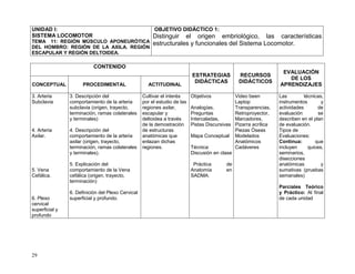 29
UNIDAD I:
SISTEMA LOCOMOTOR
TEMA 11: REGIÓN MÚSCULO APONEURÓTICA
DEL HOMBRO: REGIÓN DE LA AXILA. REGIÓN
ESCAPULAR Y REGIÓN DELTOIDEA.
OBJETIVO DIDÁCTICO 1:
Distinguir el origen embriológico, las características
estructurales y funcionales del Sistema Locomotor.
CONTENIDO
ESTRATEGIAS
DIDÁCTICAS
RECURSOS
DIDÁCTICOS
EVALUACIÓN
DE LOS
APRENDIZAJESCONCEPTUAL PROCEDIMENTAL ACTITUDINAL
3. Arteria
Subclavia
4. Arteria
Axilar.
5. Vena
Cefálica.
6. Plexo
cervical
superficial y
profundo
3. Descripción del
comportamiento de la arteria
subclavia (origen, trayecto,
terminación, ramas colaterales
y terminales)
4. Descripción del
comportamiento de la arteria
axilar (origen, trayecto,
terminación, ramas colaterales
y terminales).
5. Explicación del
comportamiento de la Vena
cefálica (origen, trayecto,
terminación)
6. Definición del Plexo Cervical
superficial y profundo.
Cultivar el interés
por el estudio de las
regiones axilar,
escapular y
deltoidea a través
de la demostración
de estructuras
anatómicas que
enlazan dichas
regiones.
Objetivos
Analogías,
Preguntas
Intercaladas,
Pistas Discursivas
Mapa Conceptual
Técnica:
Discusión en clase
Práctica de
Anatomía en
SADMA.
Video been
Laptop
Transparencias,
Retroproyector,
Marcadores,
Pizarra acrílica
Piezas Óseas
Modelados
Anatómicos
Cadáveres
Las técnicas,
instrumentos y
actividades de
evaluación se
describen en el plan
de evaluación.
Tipos de
Evaluaciones:
Continua: que
incluyen quices,
seminarios,
disecciones
anatómicas y
sumativas (pruebas
semanales)
Parciales Teórico
y Práctico: Al final
de cada unidad
 