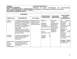 30
UNIDAD I:
SISTEMA LOCOMOTOR
TEMA 11: REGIÓN MÚSCULO APONEURÓTICA
DEL HOMBRO: REGIÓN DE LA AXILA. REGIÓN
ESCAPULAR Y REGIÓN DELTOIDEA.
OBJETIVO DIDÁCTICO 1:
Distinguir el origen embriológico, las características
estructurales y funcionales del Sistema Locomotor.
CONTENIDO
ESTRATEGIAS
DIDÁCTICAS
RECURSOS
DIDÁCTICOS
EVALUACIÓN
DE LOS
APRENDIZAJESCONCEPTUAL PROCEDIMENTAL ACTITUDINAL
7. Plexo
Braquial.
8. Región
Escapular
9. Aponeurosis
de los
músculos
Supra e
infraespinosos.
7. Explicación esquemática de
la formación del Plexo Braquial,
señalando el comportamiento
de sus ramas colaterales y
terminales; y las relaciones de
las ramas terminales en la
región axilar.
-Identificación en el cadáver y
modelados anatómicos de las
ramas colaterales y terminales
del plexo braquial.
8. Definición morfológica de la
región escapular (situación,
planos, límites que la
constituyen).
9. Análisis del comportamiento
de la aponeurosis de los
músculos supraespinoso e
infraespinoso.
Respeto hacia los
cadáveres que son
empleados como
recursos didácticos
Objetivos
Analogías,
Preguntas
Intercaladas,
Pistas Discursivas
Mapa Conceptual
Técnica:
Discusión en clase
Práctica de
Anatomía en
SADMA.
Video been
Laptop
Transparencias,
Retroproyector,
Marcadores,
Pizarra acrílica
Piezas Óseas
Modelados
Anatómicos
Cadáveres
Las técnicas,
instrumentos y
actividades de
evaluación se
describen en el plan
de evaluación.
Tipos de
Evaluaciones:
Continua: que
incluyen quices,
seminarios,
disecciones
anatómicas y
sumativas (pruebas
semanales)
Parciales Teórico
y Práctico: Al final
de cada unidad
 