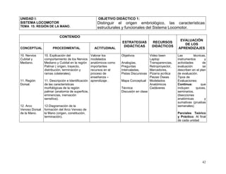 42
UNIDAD I:
SISTEMA LOCOMOTOR
TEMA 15: REGIÓN DE LA MANO.
OBJETIVO DIDÁCTICO 1:
Distinguir el origen embriológico, las características
estructurales y funcionales del Sistema Locomotor.
CONTENIDO
ESTRATEGIAS
DIDÁCTICAS
RECURSOS
DIDÁCTICOS
EVALUACIÓN
DE LOS
APRENDIZAJESCONCEPTUAL PROCEDIMENTAL ACTITUDINAL
10. Nervios
Cubital y
Mediano.
11. Región
Dorsal.
12. Arco
Venoso Dorsal
de la Mano.
10. Explicación del
comportamiento de los Nervios
Mediano y Cubital en la región
Palmar ( origen, trayecto,
distribución, terminación y
ramas colaterales).
11. Descripción e Identificación
de las características
morfológicas de la región
palmar (anatomía de superficie,
eminencias, inervación
sensitiva).
12.Diagramación de la
formación del Arco Venoso de
la Mano (origen, constitución,
terminación).
Valorar los
modelados
anatómicos como
importantes
recursos en el
proceso de
enseñanza –
aprendizaje .
Objetivos
Analogías,
Preguntas
Intercaladas,
Pistas Discursivas
Mapa Conceptual
Técnica:
Discusión en clase
Video been
Laptop
Transparencias,
Retroproyector,
Marcadores,
Pizarra acrílica
Piezas Óseas
Modelados
Anatómicos
Cadáveres
Las técnicas,
instrumentos y
actividades de
evaluación se
describen en el plan
de evaluación.
Tipos de
Evaluaciones:
Continua: que
incluyen quices,
seminarios,
disecciones
anatómicas y
sumativas (pruebas
semanales)
Parciales Teórico
y Práctico: Al final
de cada unidad
 