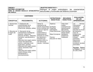 56
UNIDAD I:
SISTEMA LOCOMOTOR
TEMA 20: REGIÓN MÚSCULO APONEURÓTICA
DEL MUSLO.
OBJETIVO DIDÁCTICO 1:
Distinguir el origen embriológico, las características
estructurales y funcionales del Sistema Locomotor.
CONTENIDO
ESTRATEGIAS
DIDÁCTICAS
RECURSOS
DIDÁCTICOS
EVALUACIÓN
DE LOS
APRENDIZAJESCONCEPTUAL PROCEDIMENTAL ACTITUDINAL
1. Aponeurosis
Femoral.
2. Músculos de
la región del
muslo
1. Explicación del
comportamiento de la
aponeurosis femoral
(inserciones, tabiques, celdas).
2. Descripción de las
características morfológicas:
situación, inserciones,
dirección de fibras , relaciones,
inervación, vascularización y
acción.
-Músculos de la región anterior:
Tensor de la fascia lata,
sartorio, cuádriceps crural,
psoas ilíaco, pectíneo.
-Músculos de la región postero
interna: aductores, recto
interno.
-Músculos de la región postero
externa: Bíceps crural,
semitendinoso y
semimembranoso.
Valorar la
importancia del
estudio esquemático
de los músculos del
muslo por regiones
(anterior,
posterointerna y
posteroexterna),
tomando en cuenta
las relaciones y
funciones que
guardan entre sí y
con estructuras
vasculo – nerviosas.
Objetivos
Analogías,
Preguntas
Intercaladas,
Pistas Discursivas
Mapa Conceptual
Técnica:
Discusión en clase
Video been
Laptop
Transparencias,
Retroproyector,
Marcadores,
Pizarra acrílica
Piezas Óseas
Modelados
Anatómicos
Cadáveres
Las técnicas,
instrumentos y
actividades de
evaluación se
describen en el plan
de evaluación.
Tipos de
Evaluaciones:
Continua: que
incluyen quices,
seminarios,
disecciones
anatómicas y
sumativas (pruebas
semanales)
Parciales Teórico
y Práctico: Al final
de cada unidad
 