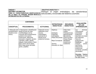 62
UNIDAD I:
SISTEMA LOCOMOTOR
TEMA 21: CARACTERÍSTICAS MORFOLÓGICAS
DE LA TIBIA Y EL PERONÉ. REGIÓN MÚSCULO
APONEURÓTICA DE LA PIERNA.
OBJETIVO DIDÁCTICO 1:
Distinguir el origen embriológico, las características
estructurales y funcionales del Sistema Locomotor.
CONTENIDO
ESTRATEGIAS
DIDÁCTICAS
RECURSOS
DIDÁCTICOS
EVALUACIÓN
DE LOS
APRENDIZAJESCONCEPTUAL PROCEDIMENTAL ACTITUDINAL
4. Músculos del
compartimiento
Posterior de la
Pierna.
4. Descripción e identificación
desde el punto de vista
morfofisiológico de los
músculos del compartimiento
posterior de la pierna
(inserciones, relaciones,
inervación, irrigación, acción)
-Gemelos, Soleo, plantar
delgado, tibial posterior, flexor
largo común de los dedos,
flexor largo propio del dedo
gordo y popliteo.
Valoración de los
cadáveres como
recurso
metodológico
esencial en el
estudio de la
anatomía humana.
Objetivos
Analogías,
Preguntas
Intercaladas,
Pistas Discursivas
Mapa Conceptual
Técnica:
Discusión en clase
Video been
Laptop
Transparencias,
Retroproyector,
Marcadores,
Pizarra acrílica
Piezas Óseas
Modelados
Anatómicos
Cadáveres
Las técnicas,
instrumentos y
actividades de
evaluación se
describen en el plan
de evaluación.
Tipos de
Evaluaciones:
Continua: que
incluyen quices,
seminarios,
disecciones
anatómicas y
sumativas (pruebas
semanales)
Parciales Teórico
y Práctico: Al final
de cada unidad
 