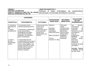 65
UNIDAD I:
SISTEMA LOCOMOTOR
TEMA 22: ESQUELETO ÓSEO DEL PIE. REGIÓN
MUSCULO APONEURÓTICA DEL PIE.
OBJETIVO DIDÁCTICO 1:
Distinguir el origen embriológico, las características
estructurales y funcionales del Sistema Locomotor.
CONTENIDO
ESTRATEGIAS
DIDÁCTICAS
RECURSOS
DIDÁCTICOS
EVALUACIÓN
DE LOS
APRENDIZAJESCONCEPTUAL PROCEDIMENTAL ACTITUDINAL
4. Caracteres
generales del
Pie.
5. Región
Dorsal del Pie.
6. Vasos y
Nervios
Superficiales
del Pie.
4. Enumeración de los
caracteres generales del Pie.
5. Descripción e identificación
de las características
morfológicas de la región
dorsal del Pie (anatomía
topográfica, de superficie y
planos constitutivos)
6. Esquematización del
comportamiento de los vasos y
nervios superficiales del Pie.
-Vasos: venas digitales, arco
venoso dorsal del pie, venas
dorsales interna y externa.
-Nervios Superficiales,
territorios cutáneos.
Inferencia del rol de
acción de las
estructuras
anatómicas del pie
en la importante
función de la
Bipedestación y la
marcha.
Objetivos
Analogías,
Preguntas
Intercaladas,
Pistas Discursivas
Mapa Conceptual
Técnica:
Discusión en clase
Video been
Laptop
Transparencias,
Retroproyector,
Marcadores,
Pizarra acrílica
Piezas Óseas
Modelados
Anatómicos
Cadáveres
Las técnicas,
instrumentos y
actividades de
evaluación se
describen en el plan
de evaluación.
Tipos de
Evaluaciones:
Continua: que
incluyen quices,
seminarios,
disecciones
anatómicas y
sumativas (pruebas
semanales)
Parciales Teórico
y Práctico: Al final
de cada unidad
 