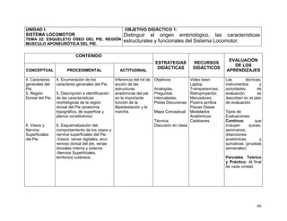 66
UNIDAD I:
SISTEMA LOCOMOTOR
TEMA 22: ESQUELETO ÓSEO DEL PIE. REGIÓN
MUSCULO APONEURÓTICA DEL PIE.
OBJETIVO DIDÁCTICO 1:
Distinguir el origen embriológico, las características
estructurales y funcionales del Sistema Locomotor.
CONTENIDO
ESTRATEGIAS
DIDÁCTICAS
RECURSOS
DIDÁCTICOS
EVALUACIÓN
DE LOS
APRENDIZAJESCONCEPTUAL PROCEDIMENTAL ACTITUDINAL
4. Caracteres
generales del
Pie.
5. Región
Dorsal del Pie.
6. Vasos y
Nervios
Superficiales
del Pie.
4. Enumeración de los
caracteres generales del Pie.
5. Descripción e identificación
de las características
morfológicas de la región
dorsal del Pie (anatomía
topográfica, de superficie y
planos constitutivos)
6. Esquematización del
comportamiento de los vasos y
nervios superficiales del Pie.
-Vasos: venas digitales, arco
venoso dorsal del pie, venas
dorsales interna y externa.
-Nervios Superficiales,
territorios cutáneos.
Inferencia del rol de
acción de las
estructuras
anatómicas del pie
en la importante
función de la
Bipedestación y la
marcha.
Objetivos
Analogías,
Preguntas
Intercaladas,
Pistas Discursivas
Mapa Conceptual
Técnica:
Discusión en clase
Video been
Laptop
Transparencias,
Retroproyector,
Marcadores,
Pizarra acrílica
Piezas Óseas
Modelados
Anatómicos
Cadáveres
Las técnicas,
instrumentos y
actividades de
evaluación se
describen en el plan
de evaluación.
Tipos de
Evaluaciones:
Continua: que
incluyen quices,
seminarios,
disecciones
anatómicas y
sumativas (pruebas
semanales)
Parciales Teórico
y Práctico: Al final
de cada unidad
 