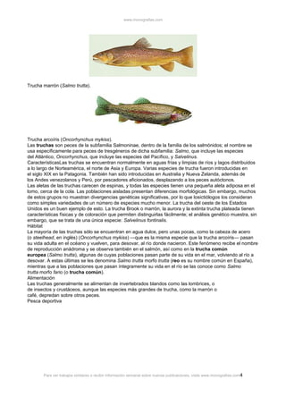 www.monografias.com

Trucha marrón (Salmo trutta).

Trucha arcoíris (Oncorhynchus mykiss).
Las truchas son peces de la subfamilia Salmoninae, dentro de la familia de los salmónidos; el nombre se
usa específicamente para peces de tresgéneros de dicha subfamilia: Salmo, que incluye las especies
del Atlántico, Oncorhynchus, que incluye las especies del Pacífico, y Salvelinus.
CaracterísticasLas truchas se encuentran normalmente en aguas frías y limpias de ríos y lagos distribuidos
a lo largo de Norteamérica, el norte de Asia y Europa. Varias especies de trucha fueron introducidas en
el siglo XIX en la Patagonia. También han sido introducidas en Australia y Nueva Zelanda, además de
los Andes venezolanos y Perú, por pescadores aficionados, desplazando a los peces autóctonos.
Las aletas de las truchas carecen de espinas, y todas las especies tienen una pequeña aleta adiposa en el
lomo, cerca de la cola. Las poblaciones aisladas presentan diferencias morfológicas. Sin embargo, muchos
de estos grupos no muestran divergencias genéticas significativas, por lo que losictiólogos los consideran
como simples variedades de un número de especies mucho menor. La trucha del oeste de los Estados
Unidos es un buen ejemplo de esto. La trucha Brook o marrón, la aurora y la extinta trucha plateada tienen
características físicas y de coloración que permiten distinguirlas fácilmente; el análisis genético muestra, sin
embargo, que se trata de una única especie: Salvelinus fontinalis.
Hábitat
La mayoría de las truchas sólo se encuentran en agua dulce, pero unas pocas, como la cabeza de acero
(o steelhead, en inglés) (Oncorhynchus mykiss) —que es la misma especie que la trucha arcoíris— pasan
su vida adulta en el océano y vuelven, para desovar, al río donde nacieron. Este fenómeno recibe el nombre
de reproducción anádroma y se observa también en el salmón, así como en la trucha común
europea (Salmo trutta), algunas de cuyas poblaciones pasan parte de su vida en el mar, volviendo al río a
desovar. A estas últimas se les denomina Salmo trutta morfo trutta (reo es su nombre común en España),
mientras que a las poblaciones que pasan íntegramente su vida en el río se las conoce como Salmo
trutta morfo fario (o trucha común).
Alimentación
Las truchas generalmente se alimentan de invertebrados blandos como las lombrices, o
de insectos y crustáceos, aunque las especies más grandes de trucha, como la marrón o
café, depredan sobre otros peces.
Pesca deportiva

Para ver trabajos similares o recibir información semanal sobre nuevas publicaciones, visite www.monografias.com 4

 