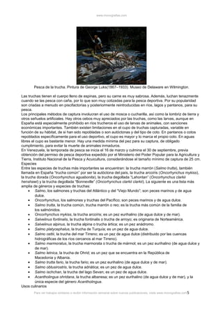 www.monografias.com

Pesca de la trucha. Pintura de George Luks(1867–1933). Museo de Delaware en Wilmington.
Las truchas tienen el cuerpo lleno de espinas, pero su carne es muy sabrosa. Además, luchan tenazmente
cuando se las pesca con caña, por lo que son muy cotizadas para la pesca deportiva. Por su popularidad
son criadas a menudo en piscifactorías y posteriormente reintroducidas en ríos, lagos y pantanos, para su
pesca.
Los principales métodos de captura involucran el uso de mosca o cucharilla, así como la lombriz de tierra y
otros señuelos artificiales. Hay otros cebos muy apreciados por las truchas, como las larvas, aunque en
España está especialmente prohibido en ríos trucheros el uso de larvas de animales, con sanciones
económicas importantes. También existen limitaciones en el cupo de truchas capturadas, variable en
función de su hábitat, de si han sido repobladas o son autóctonas y del tipo de coto. En pantanos o cotos
repoblados específicamente para el uso deportivo, el cupo es mayor y lo marca el propio coto. En aguas
libres el cupo es bastante menor. Hay una medida mínima del pez para su captura, de obligado
cumplimiento, para evitar la muerte de animales inmaduros.
En Venezuela, la temporada de pesca se inicia el 16 de marzo y culmina el 30 de septiembre, previa
obtención del permiso de pesca deportiva expedido por el Ministerio del Poder Popular para la Agricultura y
Tierra, Instituto Nacional de la Pesca y Acuicultura, considerándose el tamaño mínimo de captura de 25 cm.
Especies
Entre las especies de truchas más importantes se encuentran: la trucha marrón (Salmo trutta), también
llamada en España “trucha común” por ser la autóctona del país, la trucha arcoíris (Oncorhynchus mykiss),
la trucha dorada (Oncorhynchus aguabonita), la trucha degollada “Lahontan” (Oncorhynchus clarkii
henshawi) y la trucha degollada “Bonneville” (Oncorhynchus clarkii clarkii). La siguiente es una lista más
amplia de géneros y especies de truchas:
• Salmo, los salmones y truchas del Atlántico y del “Viejo Mundo”; son peces marinos y de agua
dulce.
• Oncorhynchus, los salmones y truchas del Pacífico; son peces marinos y de agua dulce.
• Salmo trutta, la trucha común, trucha marrón o reo; es la trucha más común de la familia de
los salmónidos.
• Oncorhynchus mykiss, la trucha arcoíris; es un pez eurihalino (de agua dulce y de mar).
• Salvelinus fontinalis, la trucha fontinalis o trucha de arroyo; es originaria de Norteamérica.
• Salvelinus alpinus, la trucha alpina o trucha ártica; es un pez anádromo.
• Salmo platycephalus, la trucha de Turquía; es un pez de agua dulce.
• Salmo cettii, la trucha del mar Tirreno; es un pez de agua dulce (distribuido por las cuencas
hidrográficas de los ríos cercanos al mar Tirreno).
• Salmo marmoratus, la trucha marmorata o trucha de mármol; es un pez eurihalino (de agua dulce y
de mar).
• Salmo letnica, la trucha de Ohrid; es un pez que se encuentra en la República de
Macedonia y Albania.
• Salmo trutta fario, la trucha fario; es un pez eurihalino (de agua dulce y de mar).
• Salmo obtusirostris, la trucha adriática; es un pez de agua dulce.
• Salmo ischchan, la trucha del lago Sevan; es un pez de agua dulce.
• Acantholingua ohridana, la trucha albanesa; es un pez eurihalino (de agua dulce y de mar), y la
única especie del género Acantholingua.
Usos culinarios
Para ver trabajos similares o recibir información semanal sobre nuevas publicaciones, visite www.monografias.com 5

 