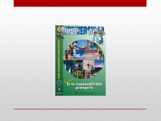 Alcances del diseño gráfico