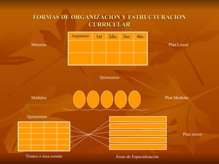 FORMAS DE ORGANIZACIÓN Y ESTRUCTURACIÓN CURRICULAR Materias Plan Lineal Quimestres Módulos Plan Modular Quimestres Tronco o área común Áreas de Especialización Plan mixto Asignatura 1er 2do. 3ro. 4to. 