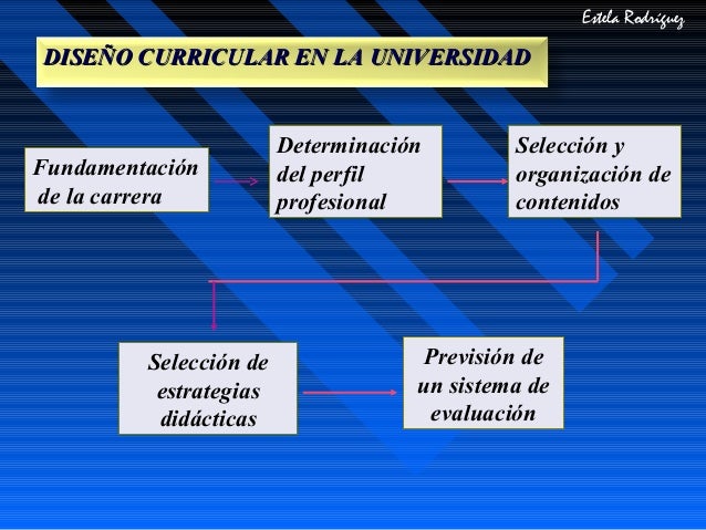 Diseno curricular universitario