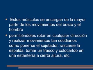 Estos músculos se encargan de la mayor 
parte de los movimientos del brazo y el 
hombro 
permitiéndoles rotar en cualquier dirección 
y realizar movimientos tan cotidianos 
como ponerse el sujetador, rascarse la 
espalda, tomar un frasco y colocarloo en 
una estantería a cierta altura, etc. 
 
