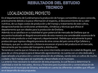 En el departamento de Cundinamarca la producción de hongos comestibles es poco conocida,
prácticamente debido a la poca información al respecto, al desconocimiento de su valor
nutritivo, de sus bajos costos de producción y del manejo y tratamiento de este cultivo,
desaprovechando las condiciones ambientales, climáticas y técnicas que ofrece el
departamento que son ideales para la producción de Orellana.
Además no se satisface en su totalidad el gran potencial de mercado de Orellana que se
encuentra localizado en Bogotá encontrando de esta manera una considerable ausencia de la
oferta de este producto a nivel regional y departamental. Debido que actualmente la poca
producción que ingresa a Bogotá proviene de otras zonas del país como el Eje Cafetero y
Antioquia, que por su ubicación y distancia encarecen el precio del producto en el mercado,
básicamente por los costos del transporte y distribución.
Teniendo en cuenta que en Silvana es una zona intermedia cercana a la ciudad de Bogotá, que
goza de un clima propicio para el desarrollo agroindustrial, no cuenta con un sitio dedicado y
especializado a la producción y comercialización de arrellanas, siendo este un cultivo de mucho
cuidado y fácil manejo para ser explotado y desarrollado en el municipio.
Lo anterior hizo necesario la realización de esta propuesta, la cual llevara a determinar la
viabilidad a nivel de mercadeo, técnica y financiera para la producción y comercialización de
orellanas en el municipio de Silvania, teniendo en cuenta las diferentes variables que influyen
en el desarrollo de esta propuesta.
 