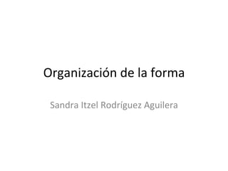 Organización	
  de	
  la	
  forma	
  
Sandra	
  Itzel	
  Rodríguez	
  Aguilera	
  
 