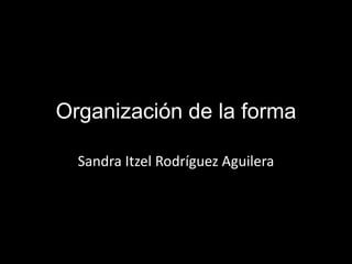 Organización de la forma
Sandra Itzel Rodríguez Aguilera
 