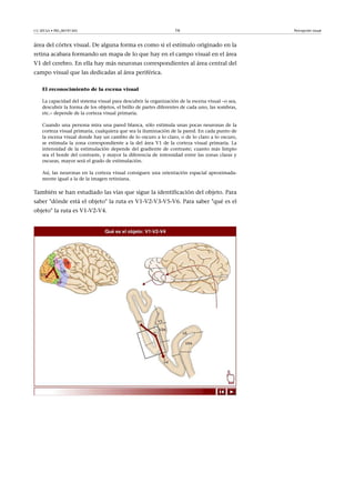 CC-BY-SA • PID_00191345 16 Percepción visual
área del córtex visual. De alguna forma es como si el estímulo originado en la
retina acabara formando un mapa de lo que hay en el campo visual en el área
V1 del cerebro. En ella hay más neuronas correspondientes al área central del
campo visual que las dedicadas al área periférica.
El reconocimiento de la escena visual
La capacidad del sistema visual para descubrir la organización de la escena visual –o sea,
descubrir la forma de los objetos, el brillo de partes diferentes de cada uno, las sombras,
etc.– depende de la corteza visual primaria.
Cuando una persona mira una pared blanca, sólo estimula unas pocas neuronas de la
corteza visual primaria, cualquiera que sea la iluminación de la pared. En cada punto de
la escena visual donde hay un cambio de lo oscuro a lo claro, o de lo claro a lo oscuro,
se estimula la zona correspondiente a la del área V1 de la corteza visual primaria. La
intensidad de la estimulación depende del gradiente de contraste; cuanto más limpio
sea el borde del contraste, y mayor la diferencia de intensidad entre las zonas claras y
oscuras, mayor será el grado de estimulación.
Así, las neuronas en la corteza visual consiguen una orientación espacial aproximada-
mente igual a la de la imagen retiniana.
También se han estudiado las vías que sigue la identificación del objeto. Para
saber "dónde está el objeto" la ruta es V1-V2-V3-V5-V6. Para saber "qué es el
objeto" la ruta es V1-V2-V4.
 