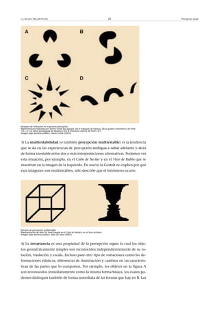 CC-BY-SA • PID_00191345 22 Percepción visual
Ejemplos de reificación en el proceso perceptivo.
Representación realizada por Steven Lehar que agrupa: (A) el triángulo de Kanizsa, (B) el gusano volumétrico de Peter
Tse's, (C) la esfera puntiaguda de Idesawa y (D) el monstruo marino de Peter Tse's.
Imagen bajo dominio público. Steven Lehar (2003).
3) La multiestabilidad (o también percepción�multiestable) es la tendencia
que se da en las experiencias de percepción ambigua a saltar adelante y atrás
de forma inestable entre dos o más interpretaciones alternativas. Podemos ver
esta situación, por ejemplo, en el Cubo de Necker y en el Vaso de Rubin que se
muestran en la imagen de la izquierda. De nuevo la Gestalt no explica por qué
esas imágenes son multiestables, sólo describe que el fenómeno ocurre.
Ejemplo de percepción multiestable.
Representación de Alan De Smet basada en el Cubo de Necker y en el Vaso de Rubin.
Imagen bajo dominio público. Alan De Smet (2007).
4) La invariancia es una propiedad de la percepción según la cual los obje-
tos geométricamente simples son reconocidos independientemente de su ro-
tación, traslación y escala. Incluso para otro tipo de variaciones como las de-
formaciones elásticas, diferencias de iluminación y cambios en las caracterís-
ticas de las partes que lo componen. Por ejemplo, los objetos en la figura A
son reconocidos inmediatamente como la misma forma básica, los cuales po-
demos distinguir también de forma inmediata de las formas que hay en B. Las
 