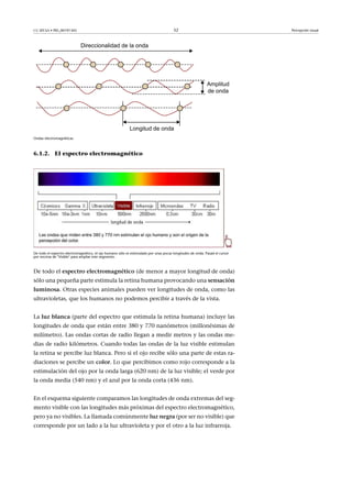 CC-BY-SA • PID_00191345 52 Percepción visual
Ondas electromagnéticas
6.1.2. El espectro electromagnético
De todo el espectro electromagnético, el ojo humano sólo es estimulado por unas pocas longitudes de onda. Pasad el cursor
por encima de "Visible" para ampliar este segmento.
De todo el espectro�electromagnético (de menor a mayor longitud de onda)
sólo una pequeña parte estimula la retina humana provocando una sensación
luminosa. Otras especies animales pueden ver longitudes de onda, como las
ultravioletas, que los humanos no podemos percibir a través de la vista.
La luz�blanca (parte del espectro que estimula la retina humana) incluye las
longitudes de onda que están entre 380 y 770 nanómetros (millonésimas de
milímetro). Las ondas cortas de radio llegan a medir metros y las ondas me-
dias de radio kilómetros. Cuando todas las ondas de la luz visible estimulan
la retina se percibe luz blanca. Pero si el ojo recibe sólo una parte de estas ra-
diaciones se percibe un color. Lo que percibimos como rojo corresponde a la
estimulación del ojo por la onda larga (620 nm) de la luz visible; el verde por
la onda media (540 nm) y el azul por la onda corta (436 nm).
En el esquema siguiente comparamos las longitudes de onda extremas del seg-
mento visible con las longitudes más próximas del espectro electromagnético,
pero ya no visibles. La llamada comúnmente luz�negra (por ser no visible) que
corresponde por un lado a la luz ultravioleta y por el otro a la luz infrarroja.
 