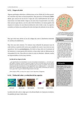 CC-BY-SA • PID_00191345 55 Percepción visual
6.2.3. Ciegos al color
Algunas patologías referentes a disfunciones en las células de la retina permi-
ten entender muy bien su funcionamiento. Hay personas, los llamados daltó-
nicos, que carecen de uno de los 3 tipos de cono, habitualmente de los que
reaccionan a la onda media o larga (y en casos muy excepcionales a la corta).
Esta carencia (que afecta a uno de cada veinte hombres y en menor grado a las
mujeres) se traduce en una falta de distinción entre verde y rojo. Su espectro
cromático se limita a la combinación entre dos tipos de estímulo en vez de tres.
En este gráfico la persona con una visión
"normal" ve un "74"; la persona daltónica ve
un "21" y la persona acromatópsica sólo ve
una textura homogénea de círculos. Obra bajo
dominio público.
Hay que estar muy atento al uso de códigos de color si diseñamos teniendo
en cuenta a los daltónicos.
Hay otro caso más extremo. Un número muy reducido de personas (una de
cada treinta o cuarenta mil) carece por completo de conos o sus conos no son
operativos. Son los acromatópsicos. Su visión se basa sólo en el estímulo de
los bastones y su percepción del entorno se basa sobre todo en diferencias de
intensidad de la luz. Para ellos no existe el color en absoluto. Además, suelen
ser hipersensibles a la luz muy intensa.
La isla de los ciegos al color
...que significaba ser acromatópsico en una comunidad acromatópsica, (...) de tener, qui-
zás, padres y abuelos, vecinos y maestros ciegos al color, de formar parte de una cultura
donde el concepto de color no existe en absoluto, pero en la que, en cambio, otras formas
de percepción, de conocimiento, se han agudizado como compensación. (...) una cultura
dueña de un elaborado lenguaje para referirse a las más sutiles variaciones de textura y
tono, para todo lo que los demás despreciamos como gris.
Oliver Sacks (1996). La isla de los ciegos al color. Barcelona: Anagrama.
6.2.4. Visión del color y evolución de las especies
La detección del color es algo que se ha desarrollado en el proceso evolutivo.
En palabras de Juan Carlos Sanz:
Visión de un semáforo por
un daltónico
¡No pueden distinguir entre
los colores de los semáforos!
En este caso se guían por la
posición de la luz, no por su
color. La mayoría de daltóni-
cos no son totalmente ciegos a
la distinción entre rojo y verde,
ya que todos los conos reac-
cionan en mayor o menor me-
dida a todas las longitudes de
onda. Esto les permite distin-
guirlos en según qué contex-
tos.
Bibliografía
Oliver�Sacks (1996). La isla
de los ciegos al color. Barcelo-
na: Anagrama.
La isla de los ciegos al color, en
un libro con este título pu-
blicado en 1996 el neurólo-
go Oliver Sacks narra su via-
je a Pingelap; una isla de Mi-
cronesia donde una propor-
ción muy elevada de perso-
nas es completamente ciega
al color. En su viaje le acom-
paña Knut Nordby, un fisió-
logo noruego que también
padece acromoatopsia.
 