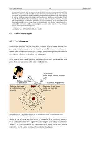 CC-BY-SA • PID_00191345 56 Percepción visual
La adaptación evolutiva de las diferentes especies a sus respectivos medios ambientales ha
determinado en muchas de ellas el desarrollo de sistemas de detección de luz. Los aparatos
visuales de las especies más evolucionadas permiten interpretar las distintas intensidades
de luz que les llega, sugiriendo imágenes con diferentes grados de luminosidad. Otras
especies han evolucionado, también en el curso de millones de años, sistemas visuales
más sofisticados que les permiten interpretar no sólo la intensidad de luz, sino además las
distintas longitudes de sus ondas. Estas especies animales ven el color –supuestamente–,
además del esplendor. (...) Los humanos pertenecemos (...) a una de las especies que
poseen sistemas visuales sofisticados.
Juan Carlos Sanz (1993). El libro del color. Madrid.
6.3. El color de los objetos
6.3.1. Los pigmentos
Los cuerpos absorben una parte de la luz recibida, reflejan otra y, si son trans-
parentes o semitransparentes, refractan otra parte. No solemos mirar directa-
mente sobre una fuente luminosa. La mayor parte de luz que llega a nuestros
ojos ha sido reflejada o refractada por un cuerpo.
En la superficie de los cuerpos hay sustancias (pigmentos) que absorben una
parte de la luz que incide sobre ellas y reflejan otra.
Absorción y reflexión en la superficie de un pigmento que sería percibido como "amarillo". La energía absorbida provoca
una transformación en la configuración de los átomos.
Según la luz reflejada percibimos uno u otro color. Si el pigmento absorbe
todas las longitudes de onda se percibe como "negro", si las refleja todas, como
"blanco". En la oscuridad (sin luz) los pigmentos no tienen ondas para reflejar
o absorber, por lo tanto, no se puede percibir color alguno.
 