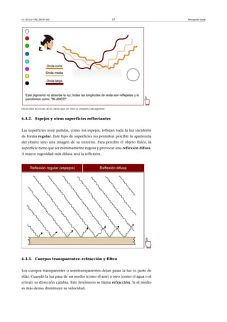 CC-BY-SA • PID_00191345 57 Percepción visual
Clicad sobre los círculos de los colores para ver cómo se comporta cada pigmento.
6.3.2. Espejos y otras superficies reflectantes
Las superficies muy pulidas, como los espejos, reflejan toda la luz incidente
de forma regular. Este tipo de superficies no permiten percibir la apariencia
del objeto sino una imagen de su entorno. Para percibir el objeto físico, la
superficie tiene que ser mínimamente rugosa y provocar una reflexión�difusa.
A mayor rugosidad más difusa será la reflexión.
6.3.3. Cuerpos transparentes: refracción y filtro
Los cuerpos transparentes o semitransparentes dejan pasar la luz (o parte de
ella). Cuando la luz pasa de un medio (como el aire) a otro (como el agua o el
cristal) su dirección cambia. Este fenómeno se llama refracción. Si el medio
es más denso disminuye su velocidad.
 
