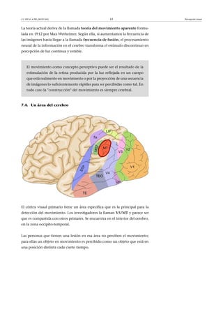 CC-BY-SA • PID_00191345 63 Percepción visual
La teoría actual deriva de la llamada teoría�del�movimiento�aparente formu-
lada en 1912 por Max Wetheimer. Según ella, si aumentamos la frecuencia de
las imágenes hasta llegar a la llamada frecuencia�de�fusión, el procesamiento
neural de la información en el cerebro transforma el estímulo discontinuo en
percepción de luz continua y estable.
El movimiento como concepto perceptivo puede ser el resultado de la
estimulación de la retina producida por la luz reflejada en un cuerpo
que está realmente en movimiento o por la proyección de una secuencia
de imágenes lo suficientemente rápidas para ser percibidas como tal. En
todo caso la "construcción" del movimiento es siempre cerebral.
7.4. Un área del cerebro
El córtex visual primario tiene un área específica que es la principal para la
detección del movimiento. Los investigadores la llaman V5/MT y parece ser
que es compartida con otros primates. Se encuentra en el interior del cerebro,
en la zona occipito-temporal.
Las personas que tienen una lesión en esa área no perciben el movimiento;
para ellas un objeto en movimiento es percibido como un objeto que está en
una posición distinta cada cierto tiempo.
 