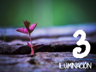 3ILUMINACIÓN
 