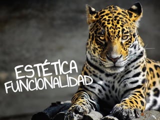 ESTÉTICA
FUNCIONALIDAD
 