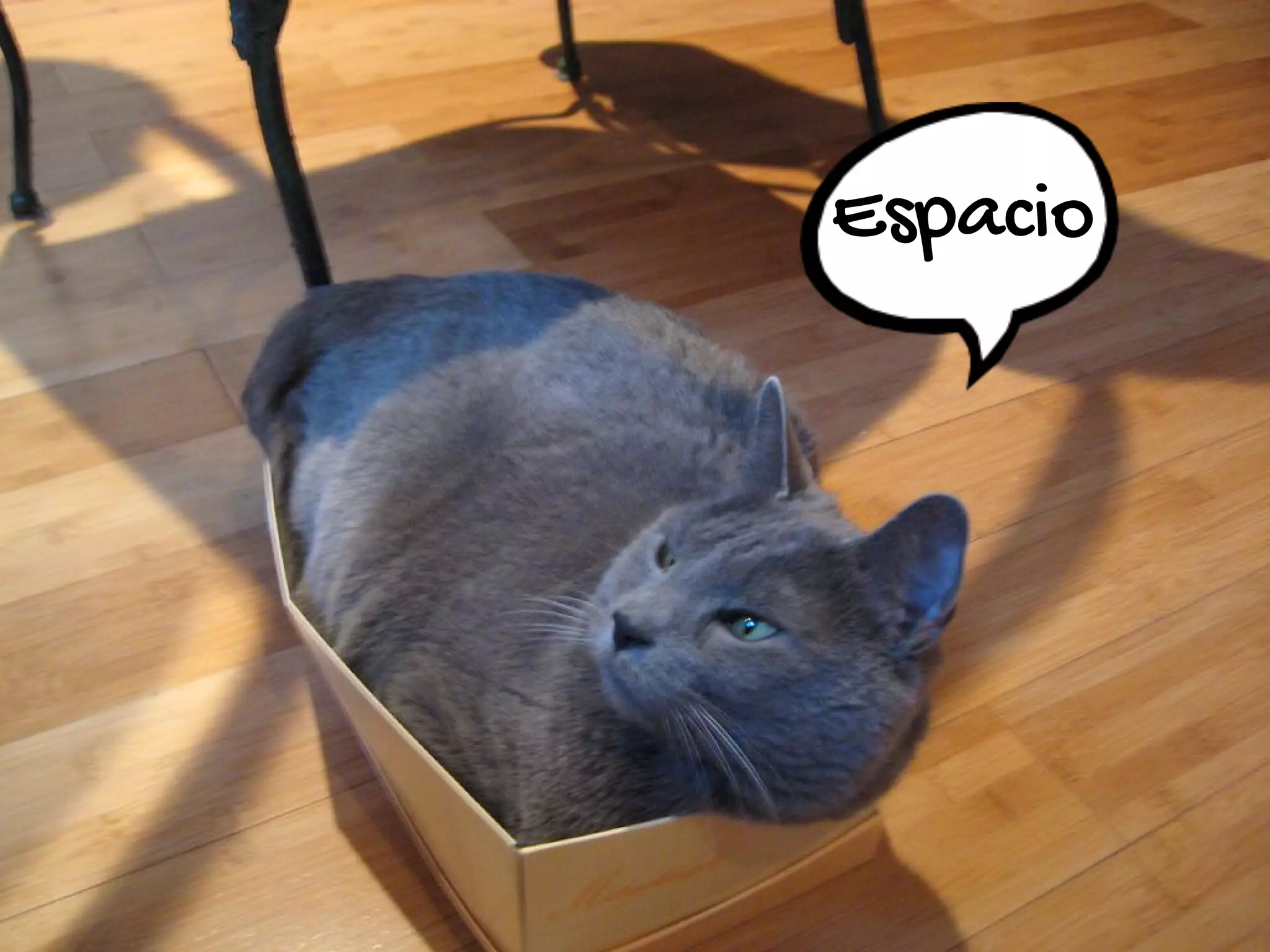 Espacio 
 