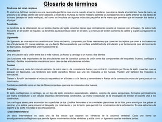 Glosario de términos
Síndrome del túnel carpiano
El síndrome del túnel carpiano es una neuropatía periférica que ocurre cuando el nervio mediano, que abarca desde el antebrazo hasta la mano, se
presiona o se atrapa dentro del túnel carpiano, a nivel de la muñeca. El nervio mediano controla las sensaciones de la parte anterior de los dedos de
la mano (excepto el dedo meñique), así como los impulsos de algunos músculos pequeños en la mano que permiten que se muevan los dedos y
el pulgar.
Tendinitis
La tendinitis es la inflamación de un tendón (banda de tejido conectivo denso que normalmente conecta el músculo con el hueso). Es sobre todo
frecuente en el tendón de Aquiles. La tendinitis aquilea produce dolor en el talón, y a menudo el tendón aumenta de calibre y la piel suprayacente se
inflama.
Ligamento
Un ligamento es una estructura anatómica en forma de banda, compuesto por fibras resistentes que conectan los tejidos que unen a los huesos en
las articulaciones. En pocas palabras, es una banda fibrosa resistente que confiere estabilidad a la articulación y es fundamental para el movimiento
de los huesos, los ligamentos unen huesos entre sí.
Articulación
Una articulación es la unión entre dos o más huesos, un hueso y cartílago o un hueso y los dientes.
Las funciones más importantes de las articulaciones son de constituir puntos de unión entre los componentes del esqueleto (huesos, cartílagos y
dientes) y facilitar movimientos mecánicos (en el caso de las articulaciones móviles.
Tendón
El tendón es una parte del músculo estriado, de color blanco, de consistencia fuerte y no contráctil, constituido por fibras de tejido conectivo que se
agrupan en fascículos. Los tendones son tejido conectivo fibroso que une los músculos a los huesos. Pueden unir también los músculos a
estructuras.
Tienen la función de insertar el músculo esquelético en el hueso o a la fascia y transmitirles la fuerza de la contracción muscular para producir un
movimiento.
También es definido como un haz de fibras conjuntivas que une los músculos a los huesos.
Cartílago
El tejido cartilaginoso, o cartílago, es un tipo de tejido conectivo especializado, elástico, carente de vasos sanguíneos, formados principalmente
por matriz extracelular y por células dispersas denominadas condrocitos. La matriz extracelular es la encargada de brindar el soporte vital a los
condrocitos.
Los cartílagos sirven para acomodar las superficies de los cóndilos femorales a las cavidades glenoideas de la tibia, para amortiguar los golpes al
caminar y los saltos, para prevenir el desgaste por rozamiento y, por lo tanto, para permitir los movimientos de la articulación. Es una estructura de
soporte y da cierta movilidad a las articulaciones.
Disco intervertebral
Un disco intervertebral es cada uno de los discos que separan las vértebras de la columna vertebral. Cada uno forma un
amortiguamiento cartilaginoso que permite ligeros movimientos de las vértebras y actúa como un ligamento que las mantiene juntas.
 