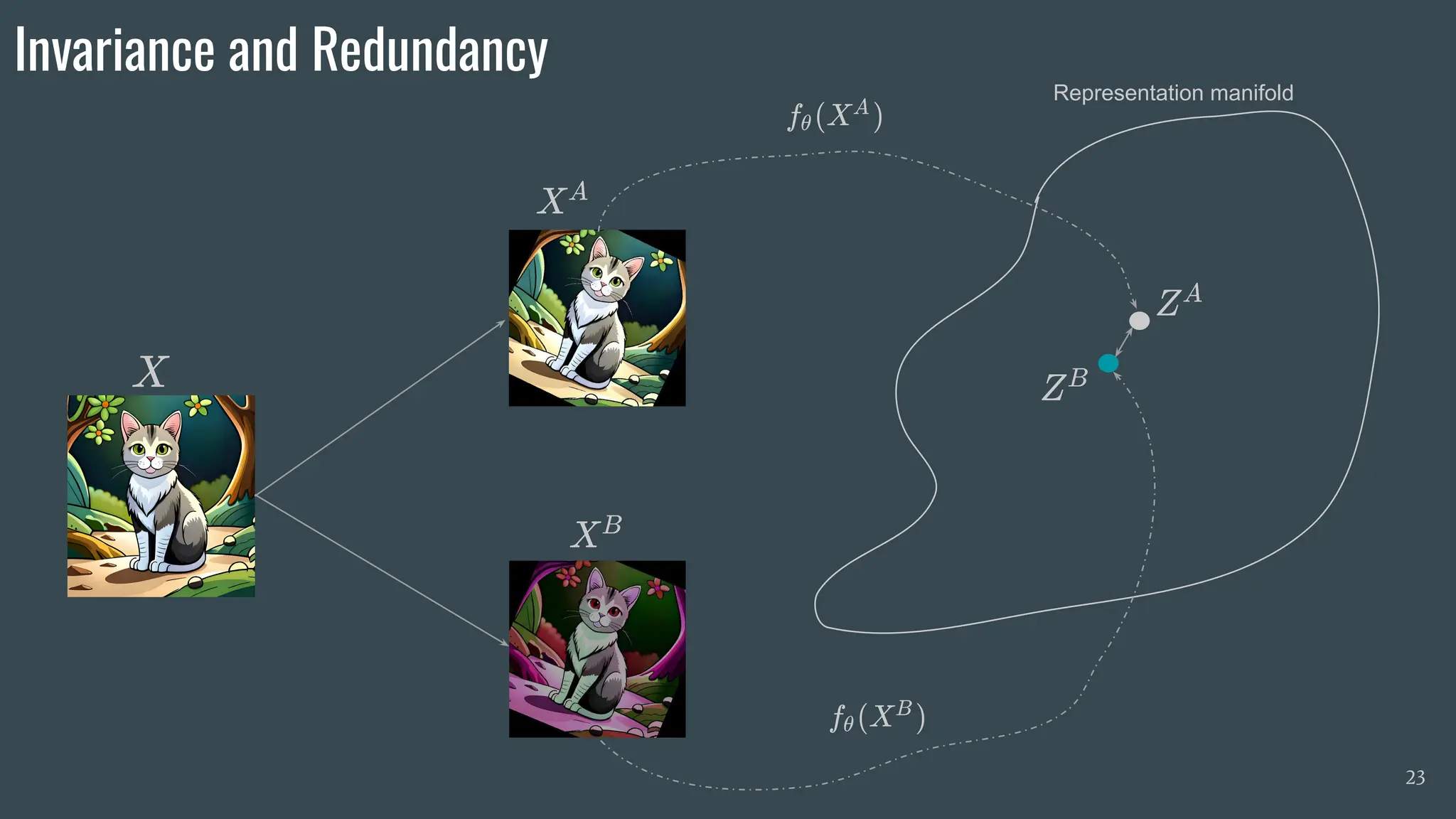Invariance and Redundancy
23
Representation manifold
 